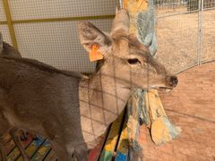 -遇见世外桃源教育农场