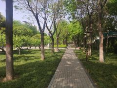 -木塔寺遗址生态公园