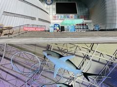 -烟台海昌鲸鲨海洋公园