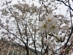 -湖北中医药大学(昙华林校区)