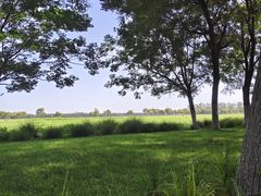 -汉长安城未央宫国家考古遗址公园