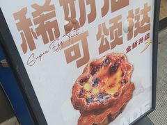 -卡吉诺动物奶油生日蛋糕(中原路店)