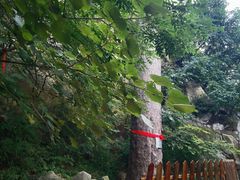 -大芦花风景区