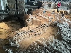 -自贡恐龙博物馆