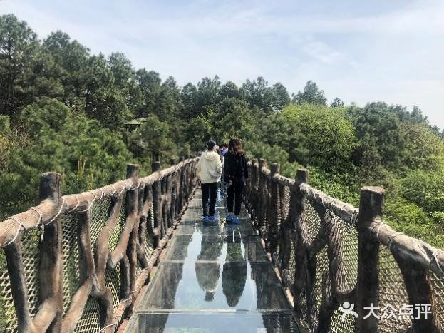 春日图鉴 | 拍照圣地 | 南京高淳国际慢城桠溪