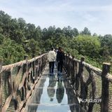 春日图鉴 | 拍照圣地 | 南京高淳国际慢城桠溪