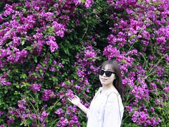 -墨尔本皇家植物园