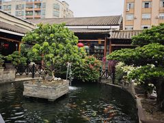 -猪肉婆私房菜(容桂总店)