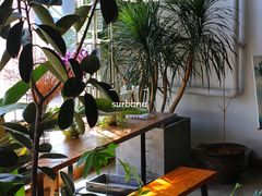 -盛邦家居建材广场