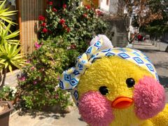 -在路上酒吧(大理古城店)