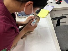 -瑞派雷欧宠物医院·中兽医·眼科·急重症转诊中心(黄台店)