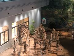 -自贡恐龙博物馆