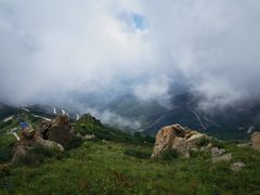 -白草畔自然风景区