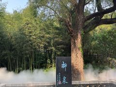 -淄博聊斋城景区