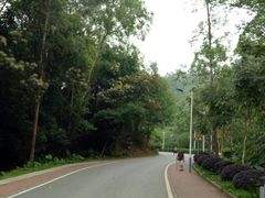 -火炉山森林公园