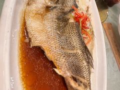 -肘子酥·天津捞面(德云社店)