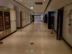 -金逸影城(武汉人信汇IMAX店)