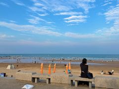 -日照海滨国家森林公园