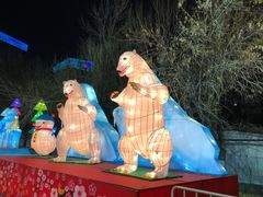 -沈阳奥体冰雪嘉年华