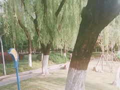 -天鹅湖体育公园