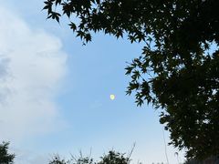 -鹿亭中村