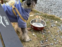 -J Create城市露营咖啡·简餐·宠物(上海动物园店)