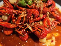 -京悦南门涮羊肉·羊蝎子火锅(田林路店)