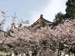 -鸡鸣赐茶(鸡鸣寺路店)