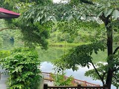 -红花湖景区