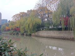 -运河游船(武林门码头)