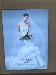 -金夫人婚纱摄影(总店)