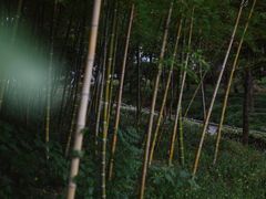 -汉陵苑