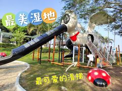 -大湾区中央湿地公园