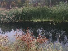 -永定河休闲森林公园