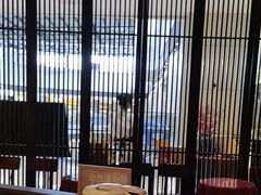 -北方家宴(番禺永旺店)