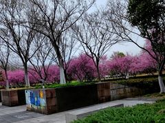 -白塘生态植物园