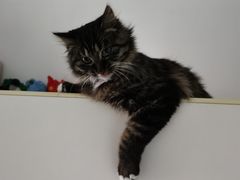 -左邻右舍褡裢火烧(石榴园店)