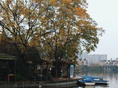 -成都南湖公园