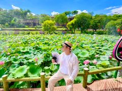 -广州莲花山旅游区