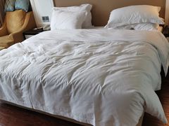 -四川江油戴斯大酒店