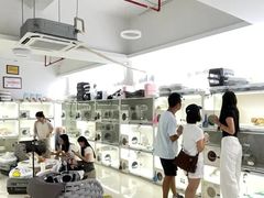 -lincat·猫舍(广州店)