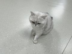 -M.S拳击泰拳馆(大学路店)