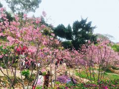 -狐尾山公园
