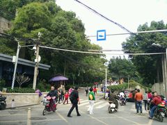 -金鸡山公园