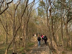 -紫金山山顶公园