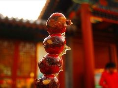 43A2FF59-1417-4E05-A-糖葫芦王保定名吃(古莲花池店)