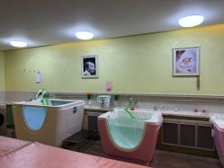 -生命加•Q考拉月子会所(玫瑰园店)