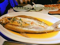 清蒸太湖白鱼-乾园(天河城店)