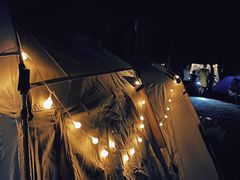 -武陵山森林公园