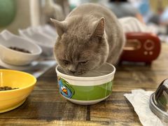 -小时光咖啡馆(北锣鼓巷店)